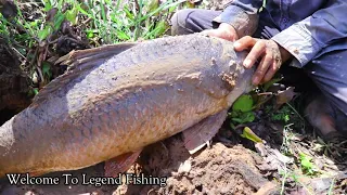 Digging Hole Fish On Dry Season | They Caught A Big Fish & A Lot Of Catfish From UnderGround