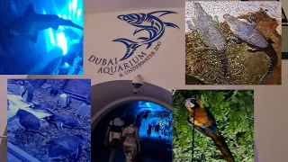 DUBAI UNDERWATER ZOO ||Part 1 | Exploring DUBAI AQUARIUM & UNDERWATER ZOO | Trip to Dubai Aquarium