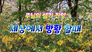 세상에서 방황 할때 # 그레이스 조목사