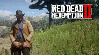 Red Dead Redemption 2 (Xbox One) | BroBeard NEEDS SOME CASH