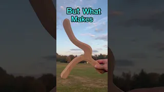 The Best BOOMERANG I’ve Ever Made 🪃🤯🎯#great #cool #boomerang #awesome #funny