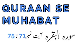 Surah AlBaqarah Ayat 71 To 75