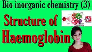 Structure of haemoglobin, bsc 3rd year inorganic chemistry, metalloporphyrin structure, knowledge ad
