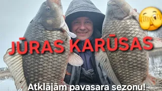 JŪRAS KARŪSAS. 19.03.2024