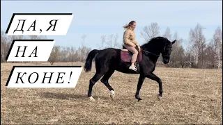 В гости к коллегам! Посещение КФХ Герефорд!