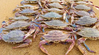 Crab&There are big goods hidden in the sea, cat's eye snails, and mutated crabs!