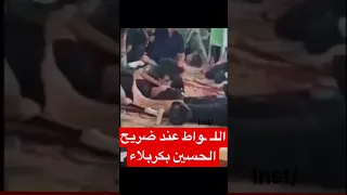 الشيع ـة يفعلون اللـ واط عند قبر الحسين بكربلاء😵😵