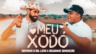 MEU XODÓ - Rafinha o Big Love e Biguinho Sensação (CLIPE OFICIAL)