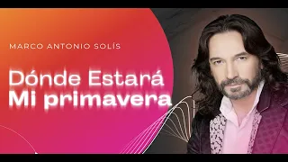 Marco Antonio Solís - Dónde estará mi primavera | Lyric video