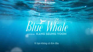 [VIETSUB] YB - 흰수염고래 / Blue whale - covered by Seung Yoon (KOMS 5th crown)