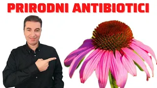 10 NAJJAČIH PRIRODNIH ANTIBIOTIKA ! Izliječite svaku bakterijsku upalu na ovaj način...