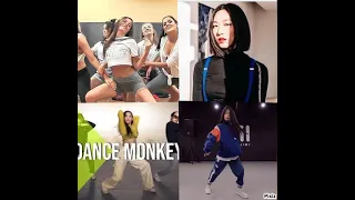 Who Danced it Better: Dance Monkey (Lia kim, Hazel, ISOL, Waacking, Desiree)