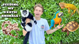 FEEDING ALL MY EXOTIC ANIMALS !