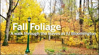 You Can't Beat Fall Foliage At Indiana University
