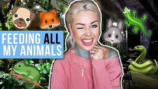 Feeding ALL My Pets in One Video 🍽| KristenLeannimal