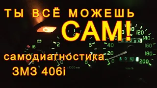 Как самому прочитать ошибки ЗМЗ 406i Волга.