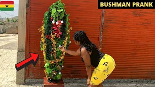 😂😂😂SHE THOUGHT IT WAS A CHRISTMAS TREE! Hilarious Bushman Prank. #christmastree #christmas