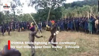 Donga Stick fighting Ritual ceremony by suri tribe upper Omo Valley   Ethiopia