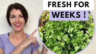 KEEP CILANTRO FRESH ! How to Keep Cilantro or Coriander Fresh for Weeks