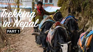 Part 1 (of 3) - Our Attempt at the Three Passes Trek in Nepal | Lukla to Tengboche