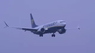 Ryanair Boeing 737 MAX 8-200 Landing / Take-Off in Fog at Faro Airport