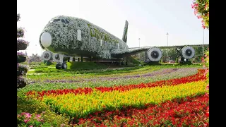 Dubai Miracle Garden 2020