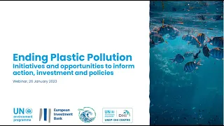 Webinar: Ending Plastic Pollution