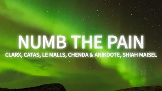 Clarx, Catas, Le Malls, CHENDA, Anikdote - Numb The Pain (feat. Shiah Maisel) (Lyrics)