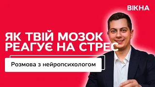 ЯК СТРЕС ВПЛИВАЄ НА ТВОЄ ТІЛО І МОЗОК — детальний розбір нейропсихолога