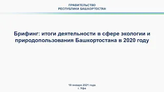 Брифинг: итоги деятельности в сфере экологии и природопользования Башкортостана в 2020 году