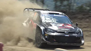 Rally de Portugal 2024 Jumps