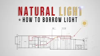 Architectural Tricks and Devices to Bring Natural Light Into Your Home