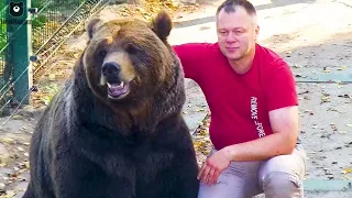 Нежная любовь человека и медведя❤️🐻/Bear Mansur