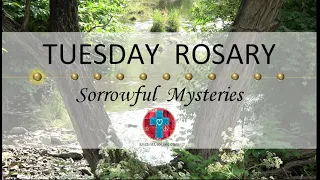 Tuesday Rosary • Sorrowful Mysteries of the Rosary 💜 Twin Trees by the Creek