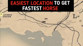 Perfect Location To Get Silver Dapple Pinto Horse Easily In 2 Minutes - RDR2