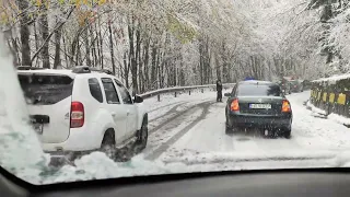 BLOCAȚI ÎN NĂMEȚI ❄️STORCEAG🐬PRIMII MIELUȚI 🐑🐑