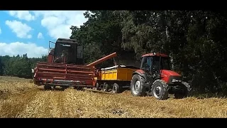 Żniwa 2016 na Śląsku | Harvest in Poland