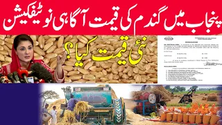 گندم کی امدادی قیمت فائنل اعلان!! wheat support price in punjab pakistan 2024/ صوبائی اسمبلی