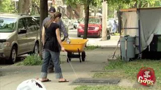 Puppy In Sewer Prank