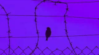 plenka - Nightmare (slowed + reverb)