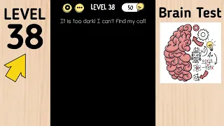 Brain Test Level 38 It Is Too Dark! I Can't Find My Cat!