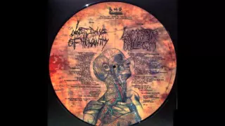 Last Days Of Humanity / Lymphatic Phlegm - split picture 12" LP FULL ALBUM (2004 - Goregrind)