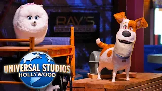 Secret Life of Pets: Off the Leash Ride 2024 - Universal Studios Hollywood [4K POV]