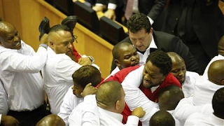 Fighting Breaks Out in South Africa's Parliament