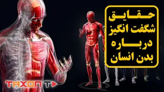 حقایق شگفت انگیز درباره  بدن انسان