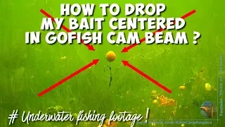 HOW TO CENTER MY CARP BAIT IN THE CAMERA BEAM [Underwater Gofish cam Tutorial]