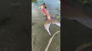 Real Mermaid Found in Vancouver, BC Washed up on the Beach - #realmermaid