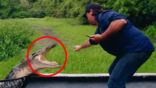 20 Scariest Animal Encounters You Shouldn't Click On