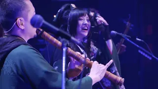 (Vietsub) 東風破 - Toufuha (Dong feng po) / Wagakki Band ft. Hitoto Yo