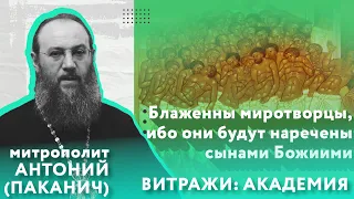 ЗАПОВЕДИ БЛАЖЕНСТВ: БЛАЖЕННЫ МИРОТВОРЦЫ | Митрополит Антоний (Паканич) | ТЕОВЛОГ